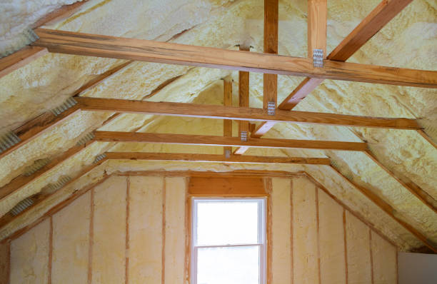 Best Insulation for New Construction  in Pine Ridge, FL