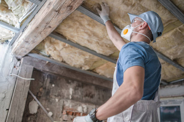 Best Affordable Insulation Services  in Pine Ridge, FL